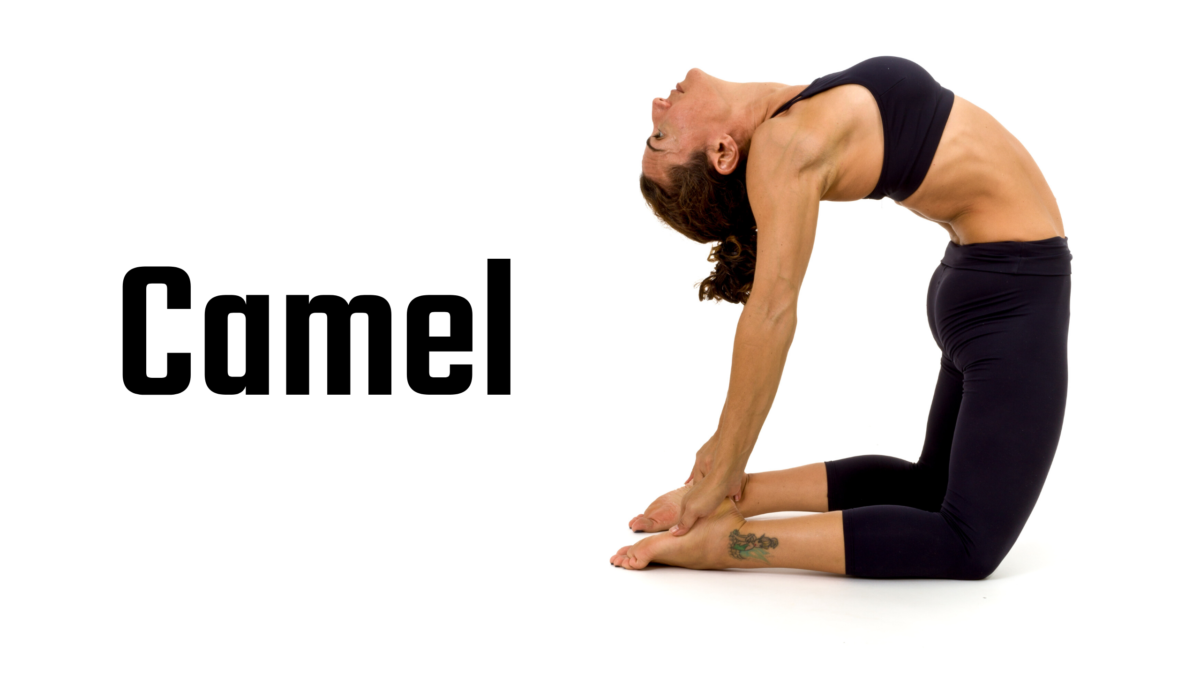 Camel Posture Tips & Tricks