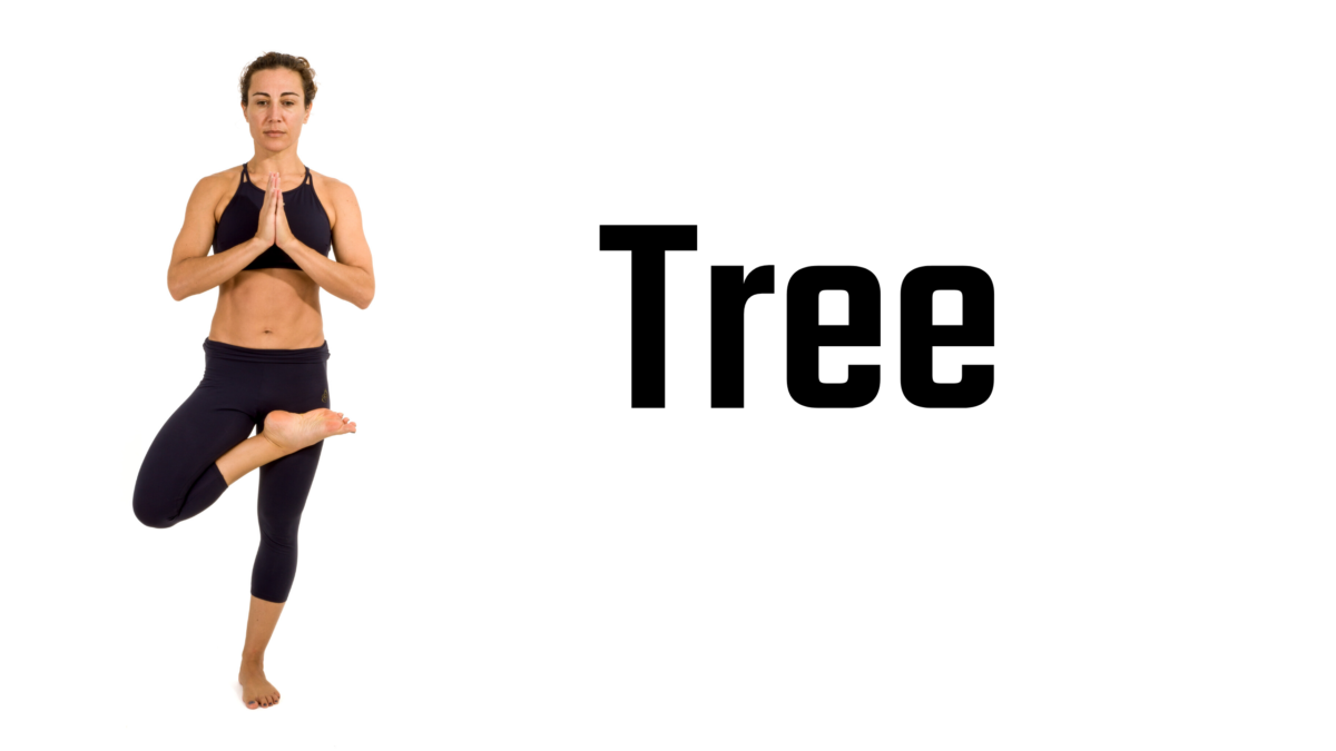 Tree Posture Tips & Tricks