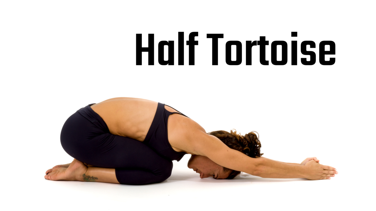 Half Tortoise Tips & Tricks