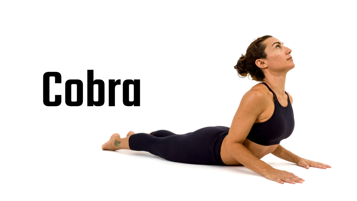 Cobra Posture Tips & Tricks