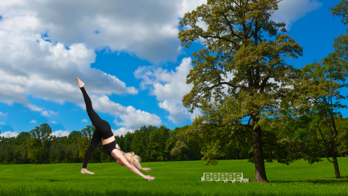 Power Flow with Heather