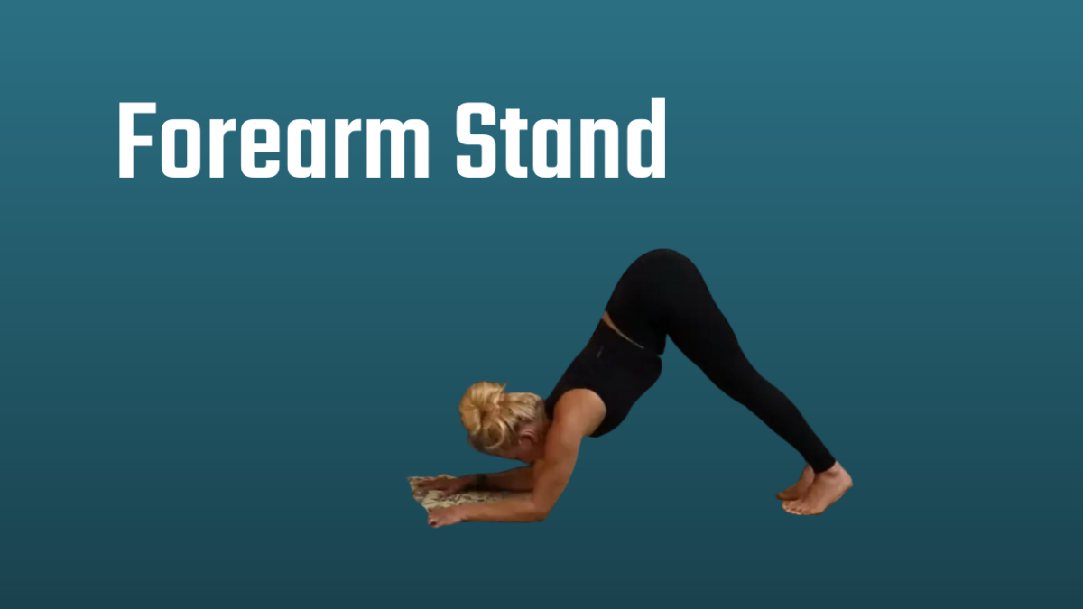 Forearm Stand